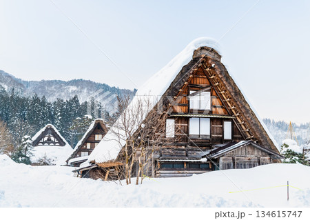 雪の白川郷 134615747