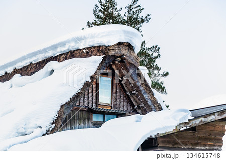 雪の白川郷 134615748