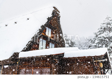 雪の白川郷 雪の白川郷 134615751