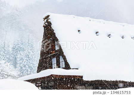 雪の白川郷 134615753