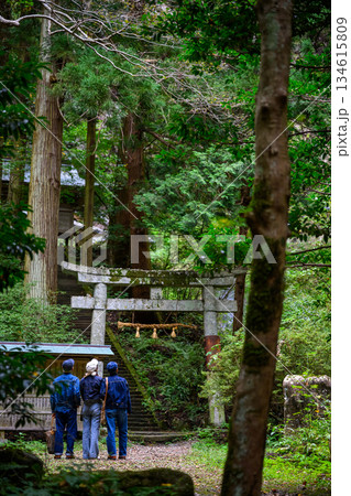 森林の石段を登る三人 134615809