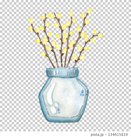 Pussy willow branches in a glass vase. Hand-drawn watercolor illustration, cartoon style. Design for cards, invitations, prints on paper or textiles. Holiday, food, treats, spring, pussy willow 134615819