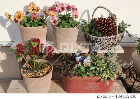 花置き台に並べた冬の花たち 134615830