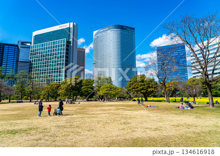 【東京都】高層ビルに囲まれた浜離宮恩賜庭園 134616918
