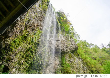 隠岐の島 壇鏡の滝 134616952
