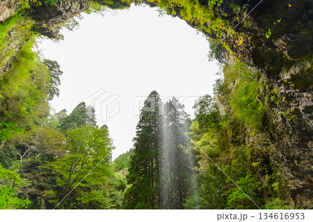 峡谷から差し込む滝と緑 峡谷から差し込む滝と緑 134616953