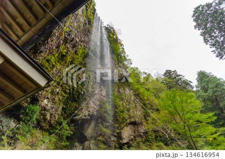 岩肌を流れる滝 134616954