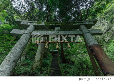苔むした石の鳥居【隠岐の島商工会】 134616957