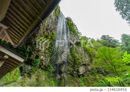 岩肌を流れる滝 岩肌を流れる滝 134616958