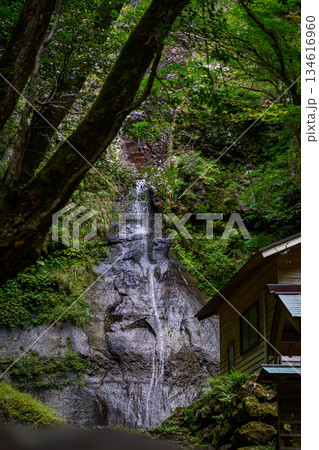 森林の滝と木造の建物 森林の滝と木造の建物 134616960