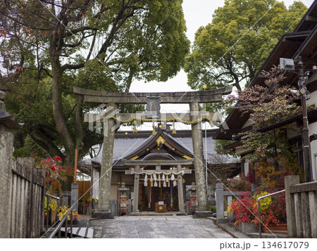 雨が降る神社の風景 雨が降る神社の風景 134617079