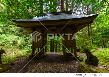 苔むした狛犬と神社門【隠岐の島商工会】 134617106