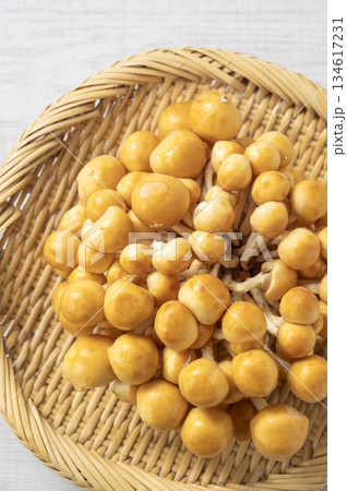 株なめこ 134617231