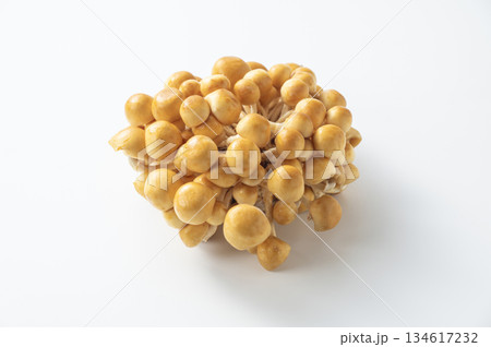 株なめこ 134617232