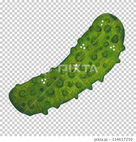 Green cucumber. Hand-drawn watercolor illustration, cartoon. Design for cards, invitations, prints on paper or textiles. Holiday, treat, vegetable Green cucumber. Hand-drawn watercolor illustration, cartoon. Design for cards, invitations, prints on paper or textiles. Holiday, treat, vegetable 134617250