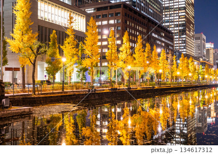 《東京都》お堀に映り込む丸の内の夜景 134617312