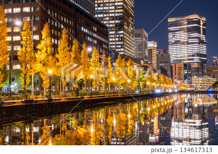 《東京都》お堀に映り込む丸の内の夜景 134617313