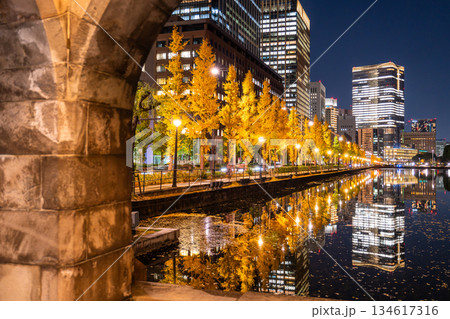 《東京都》お堀に映り込む丸の内の夜景 134617316