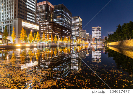 《東京都》東京駅行幸通り・黄葉の色づく夜景 《東京都》東京駅行幸通り・黄葉の色づく夜景 134617477