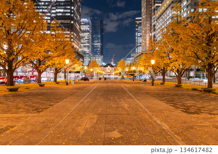 《東京都》東京駅行幸通り・黄葉の色づく夜景 134617482