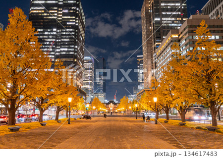 《東京都》東京駅行幸通り・黄葉の色づく夜景 134617483