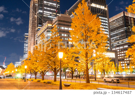 《東京都》東京駅行幸通り・黄葉の色づく夜景 《東京都》東京駅行幸通り・黄葉の色づく夜景 134617487