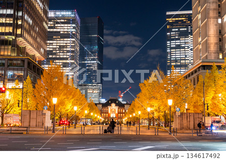《東京都》東京駅行幸通り・黄葉の色づく夜景 《東京都》東京駅行幸通り・黄葉の色づく夜景 134617492