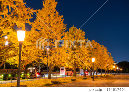 《東京都》東京駅行幸通り・黄葉の色づく夜景 134617494