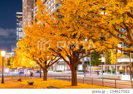 《東京都》東京駅行幸通り・黄葉の色づく夜景 134617502