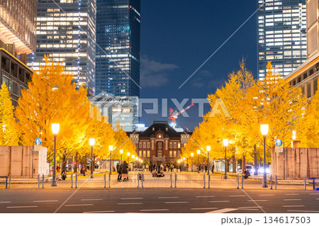 《東京都》東京駅行幸通り・黄葉の色づく夜景 《東京都》東京駅行幸通り・黄葉の色づく夜景 134617503