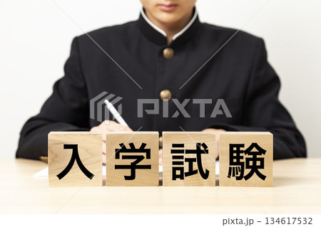 「入学試験」と書かれたブロックと男子学生 「入学試験」と書かれたブロックと男子学生 134617532