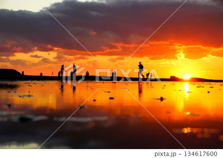 田辺市天神崎125 134617600