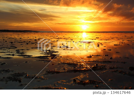 田辺市天神崎100 134617646