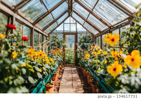 Bright and Airy Greenhouse with Vibrant Flowers and Lush Organic Vegetation 134617731