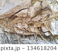 Wooden branches supporting a rock cliff based on local Thai spiritual beliefs 134618204