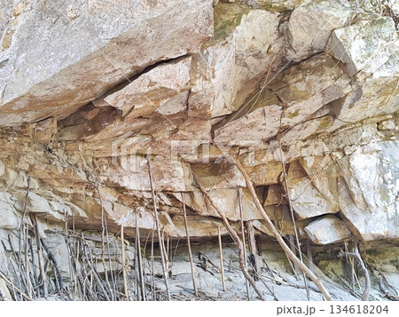 Wooden branches supporting a rock cliff based on local Thai spiritual beliefs 134618204
