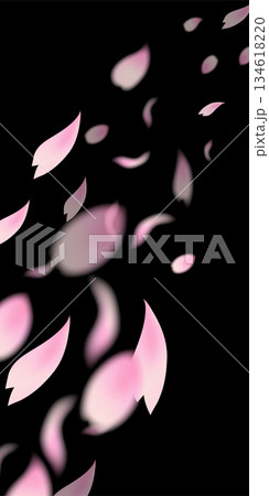 桜　春　風景　背景　 134618220