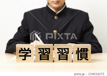 「学習習慣」と書かれたブロックと男子学生 「学習習慣」と書かれたブロックと男子学生 134618273