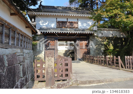 飫肥城の大手門(宮崎県日南市) 飫肥城の大手門(宮崎県日南市) 134618383