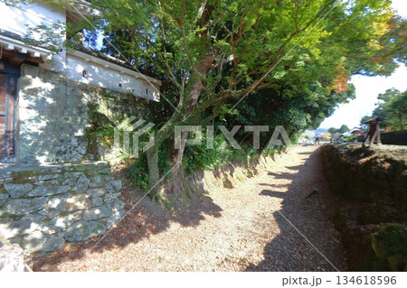 飫肥城の大手門横の空堀（宮崎県日南市） 134618596