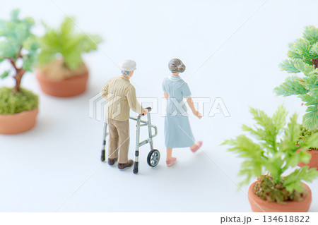 歩行器でリハビリする高齢者と介護士（3D）／まみおデザイン福祉シリーズ 134618822