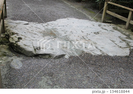 伊勢神宮の亀石 伊勢神宮の亀石 134618844