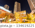 《神奈川県》武蔵小杉タワーマンション郡の夜景 134619225