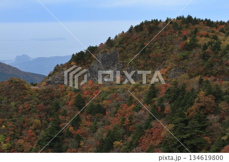 鮮やかな紅葉に彩られた雲仙岳の秋の風景 134619800
