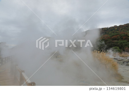 物凄い噴気が立ち込める雲仙地獄の清七地獄の風景 134619801