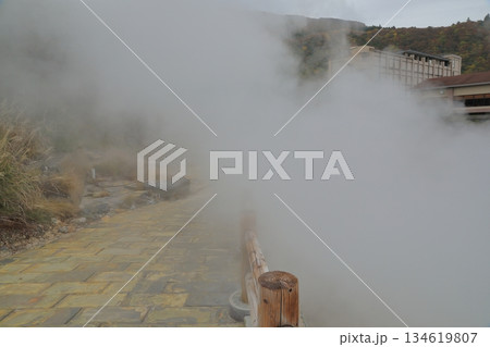 物凄い噴気が立ちこめる雲仙地獄の遊歩道の景色 物凄い噴気が立ちこめる雲仙地獄の遊歩道の景色 134619807