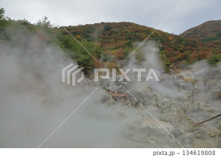 白い噴気に包まれた雲仙地獄のお糸地獄の風景 134619808