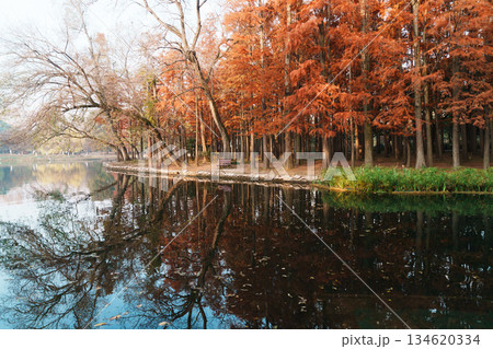 水 水分 ウォーター 134620334