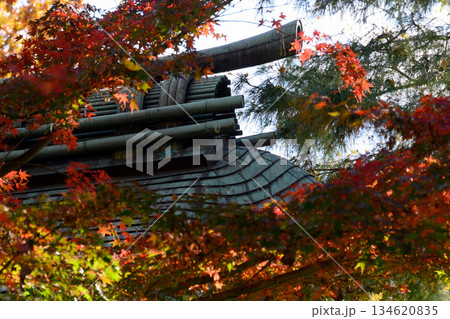 紅葉に彩られた九品寺 134620835