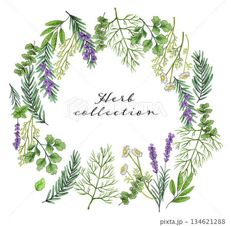 ハーブの円形イラスト 134621288